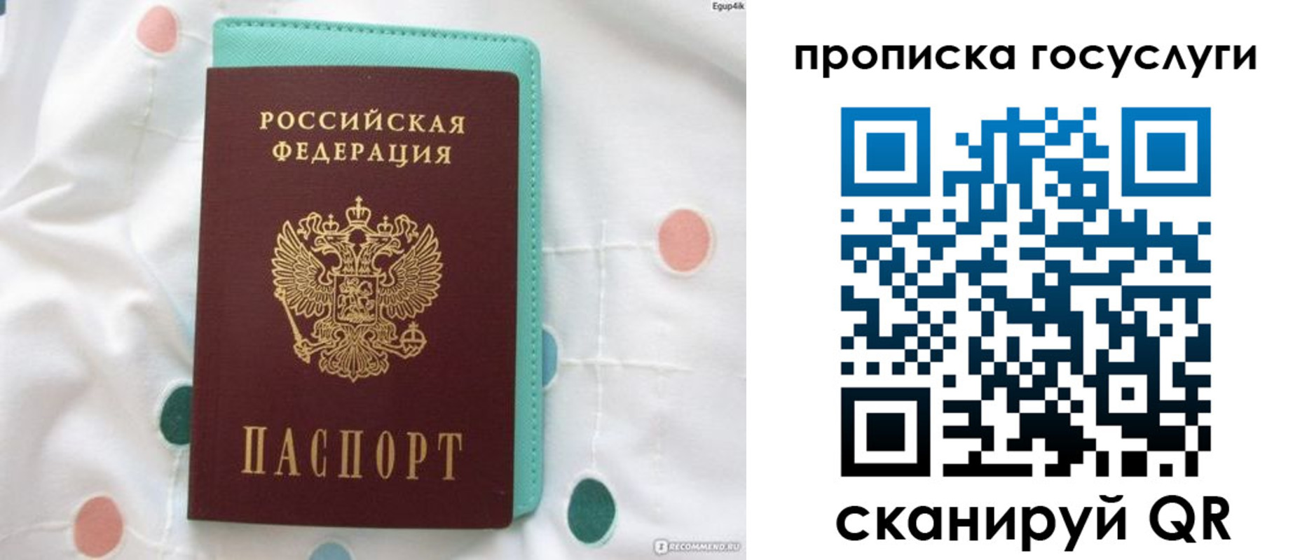 прописка поиск в Голицыно